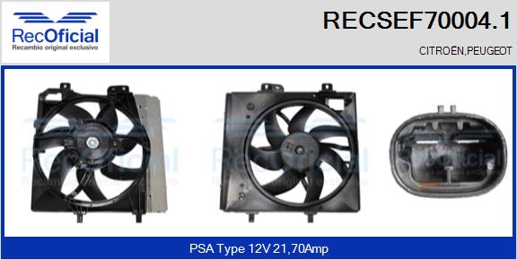 RECSEF70004.1