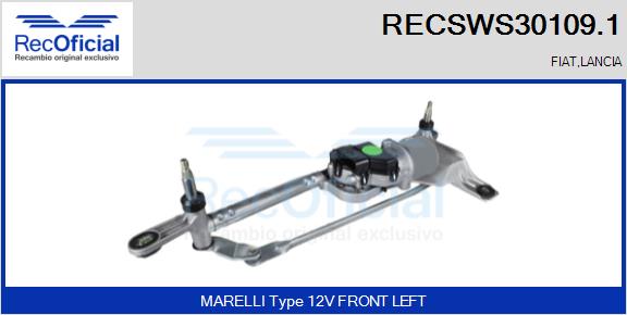 RECSWS30109.1