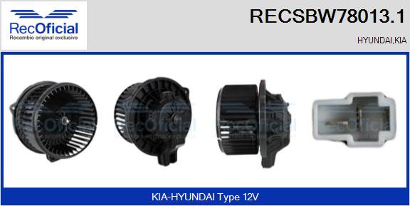 RECSBW78013.1