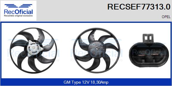 RECSEF77313.0
