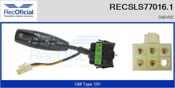 RECSLS77016.1