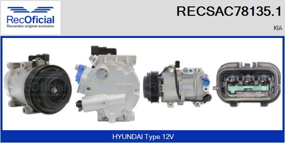 RECSAC78135.1