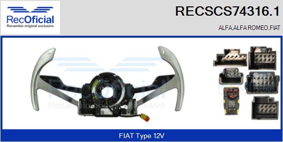 RECSCS74316.1