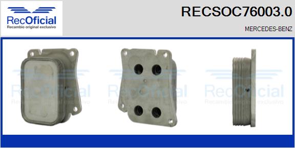 RECSOC76003.0