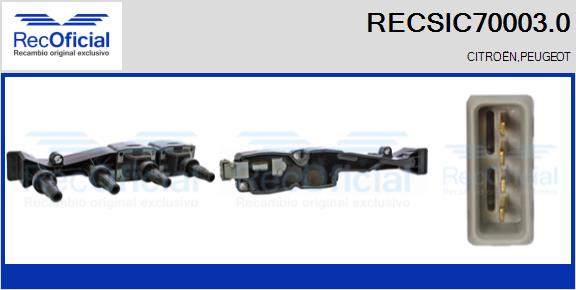 RECSIC70003.0