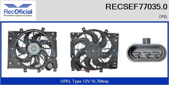 RECSEF77035.0