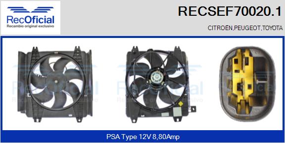 RECSEF70020.1