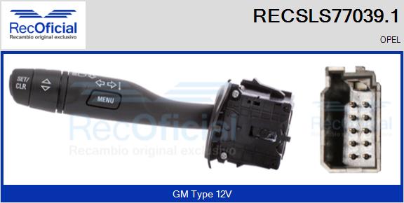 RECSLS77039.1