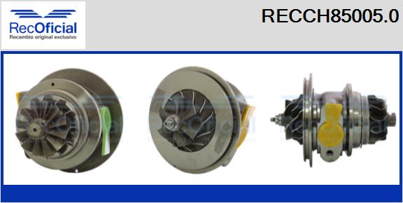 RECCH85005.0