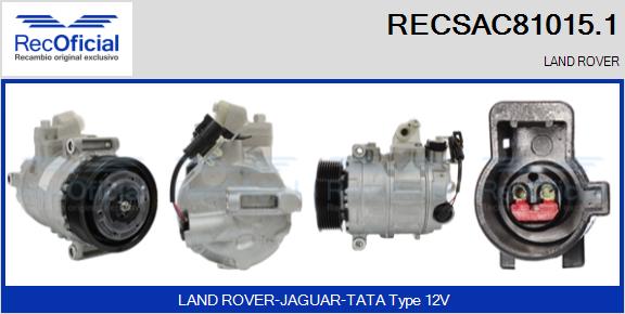 RECSAC81015.1