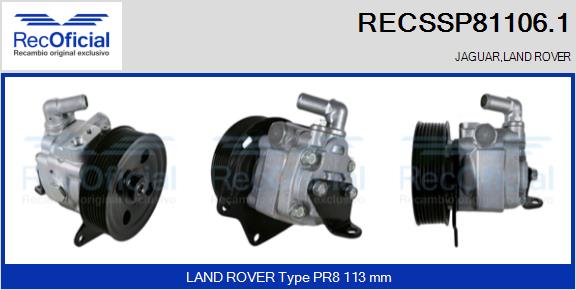 RECSSP81106.1