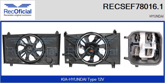 RECSEF78016.1