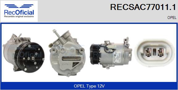 RECSAC77011.1