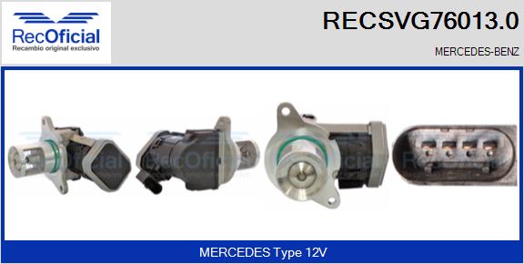 RECSVG76013.0