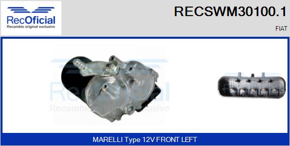 RECSWM30100.1