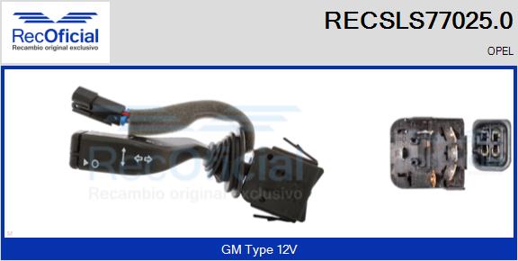 RECSLS77025.0