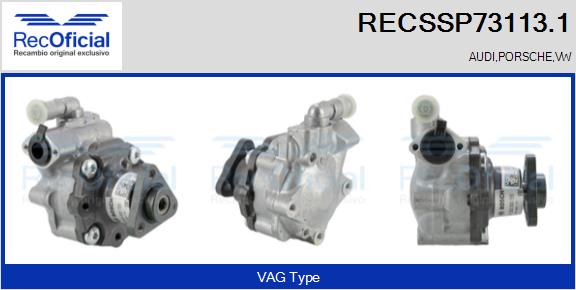RECSSP73113.1