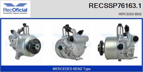 RECSSP76163.1