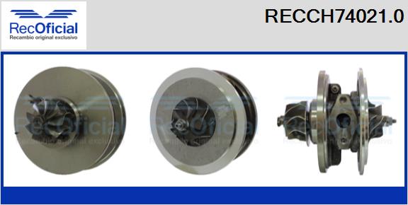 RECCH74021.0