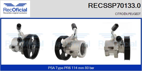 RECSSP70133.0