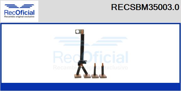 RECSBM35003.0