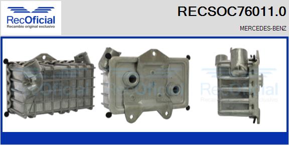 RECSOC76011.0