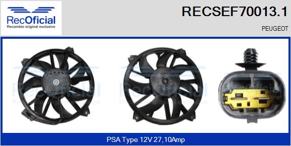 RECSEF70013.1