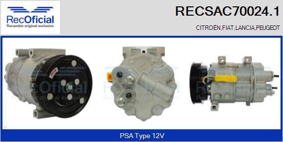 RECSAC70024.1