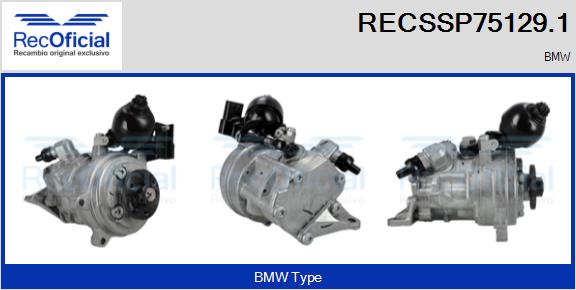 RECSSP75129.1