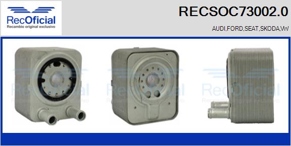 RECSOC73002.0