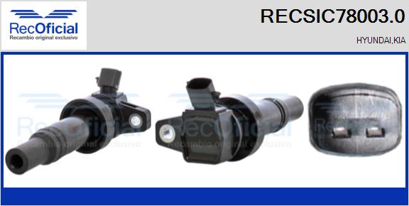 RECSIC78003.0