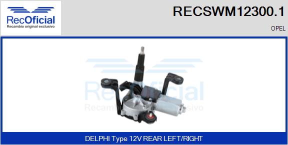 RECSWM12300.1