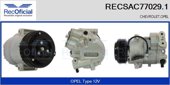 RECSAC77029.1