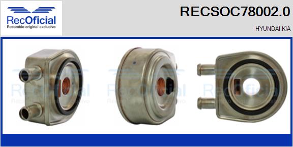 RECSOC78002.0