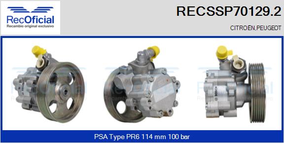 RECSSP70129.2