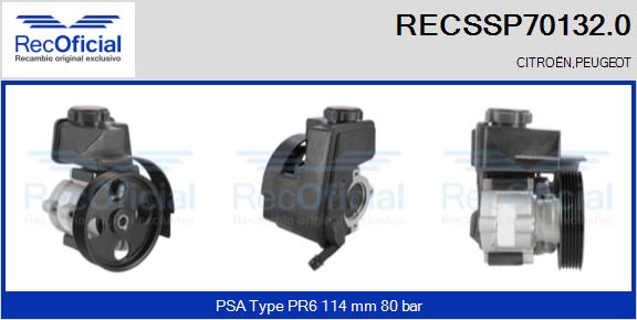 RECSSP70132.0