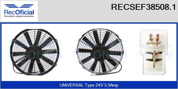 RECSEF38508.1
