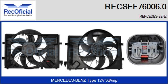 RECSEF76006.0