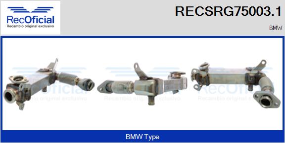RECSRG75003.1