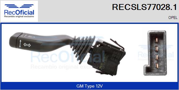 RECSLS77028.1