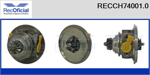 RECCH74001.0