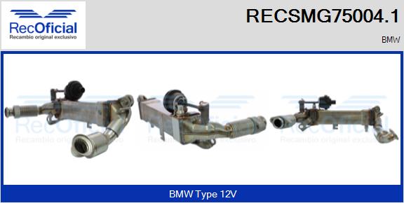 RECSMG75004.1