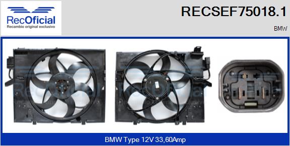 RECSEF75018.1