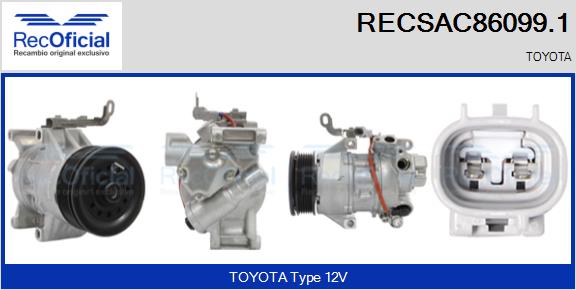 RECSAC86099.1