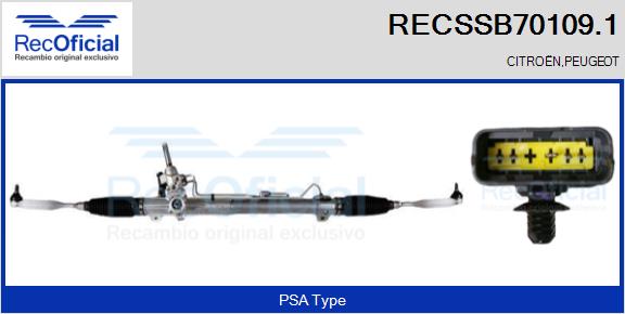 RECSSB70109.1