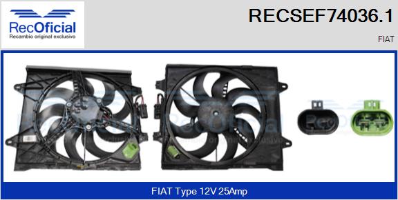 RECSEF74036.1