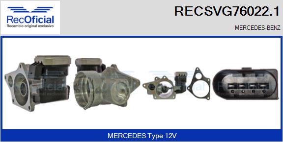 RECSVG76022.1