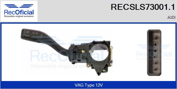 RECSLS73001.1
