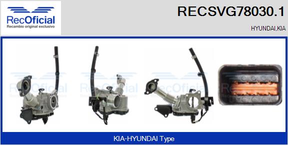 RECSVG78030.1
