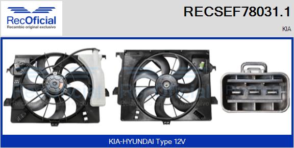 RECSEF78031.1